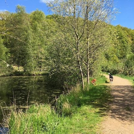 Gemuetliche Ferienwohnung Im Luftkurort Albersdorf  Exteriör bild